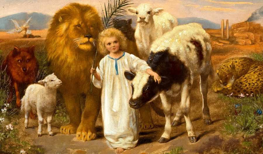 child with animals in the Millenium