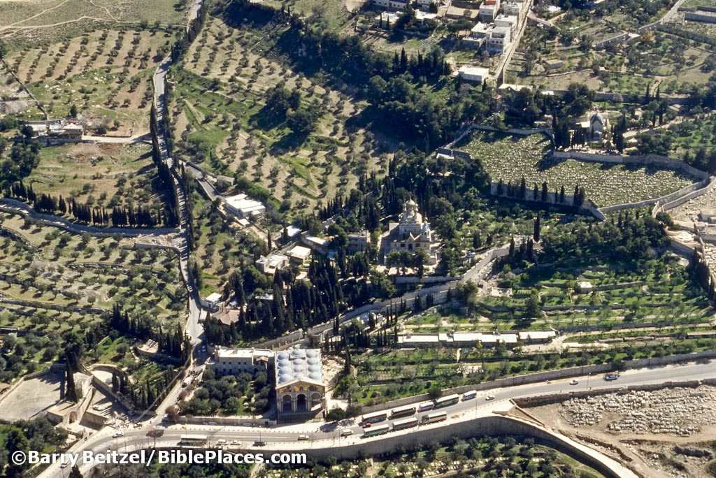 Aerial view of the garden of Gethsemane