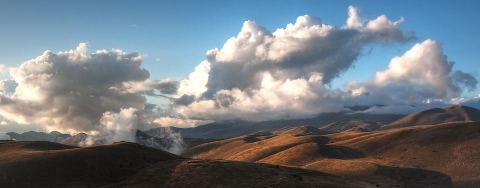 grain growing on the tops of mountains